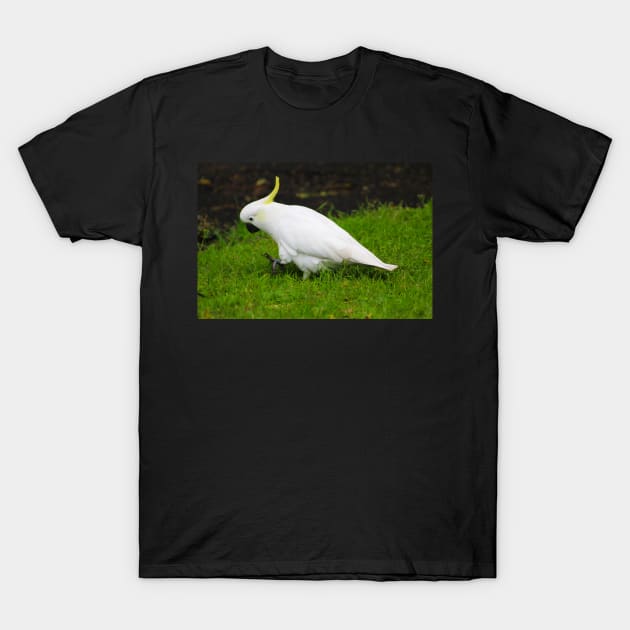 The Cockatoo T-Shirt by Mickangelhere1